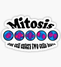 Mitosis Thunderdome Sticker