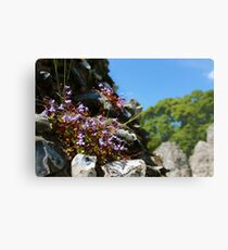 Thetford Priory Metal Print