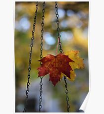 Leaves in Bird Feeder Chain Poster