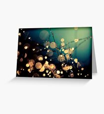 Fairies in my garden Greeting Card
