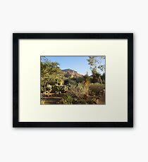 Desert Framed Print