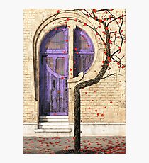 Nouveau Photographic Print