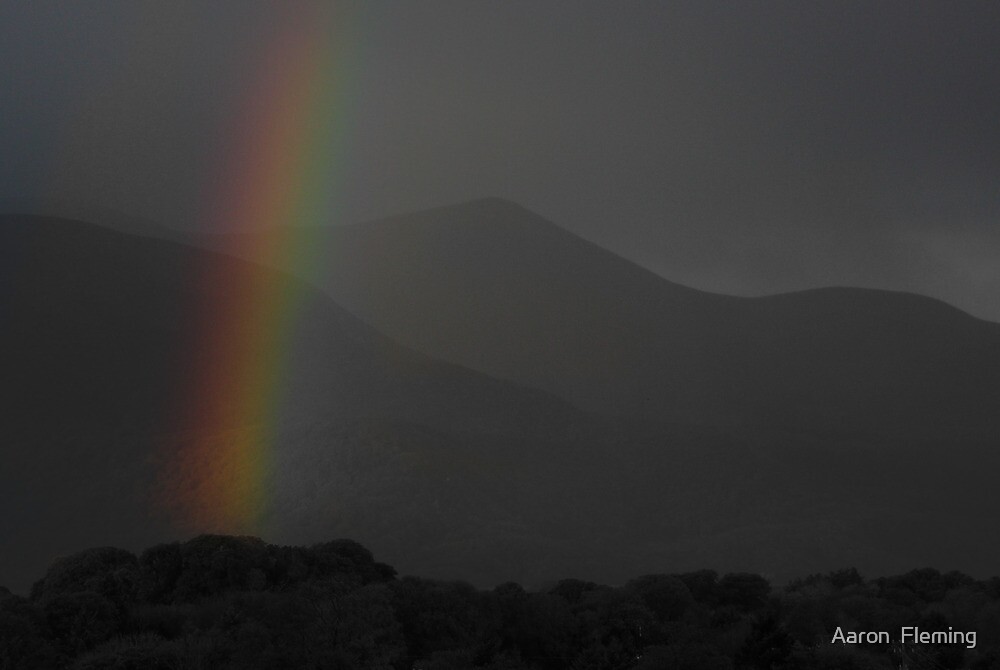 “Grayscale rainbow” by Aaron Fleming | Redbubble