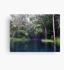 Tranquil Canvas Print