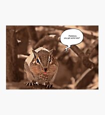 Begging Chipmunk Photographic Print