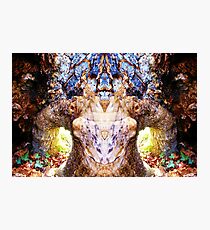 Nature Native Photographic Print