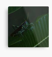 Hunger Games Metal Print