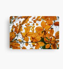 Naturally Canvas Print