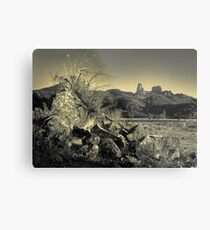 Warrumbungle landscape (duotone) Metal Print