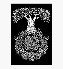 Lámina fotográfica Árbol de la vida
