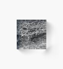 Dewdrops and Bokeh Acrylic Block