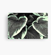 Leaves - 1 (duotone) Canvas Print