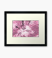 Geranium (duotone - digital sketch) Framed Print