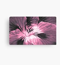 Geranium (duotone) Canvas Print