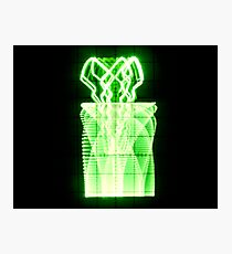 Oscilloscope Flowers in Vase Photographic Print