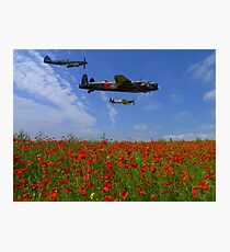 BBMF over the Poppy Field Photographic Print