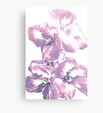 Pelargonium (duotone - digital sketch) Metal Print