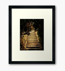 Steps- Zambia Framed Print