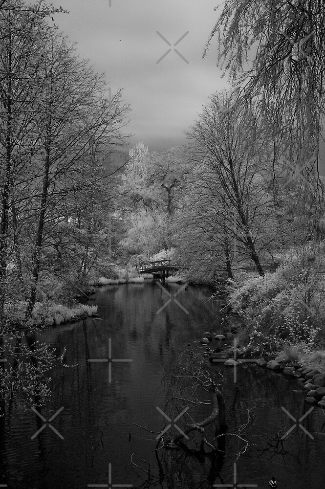 Footbridge At Lost Lagoon By Jackson Photografix Redbubble