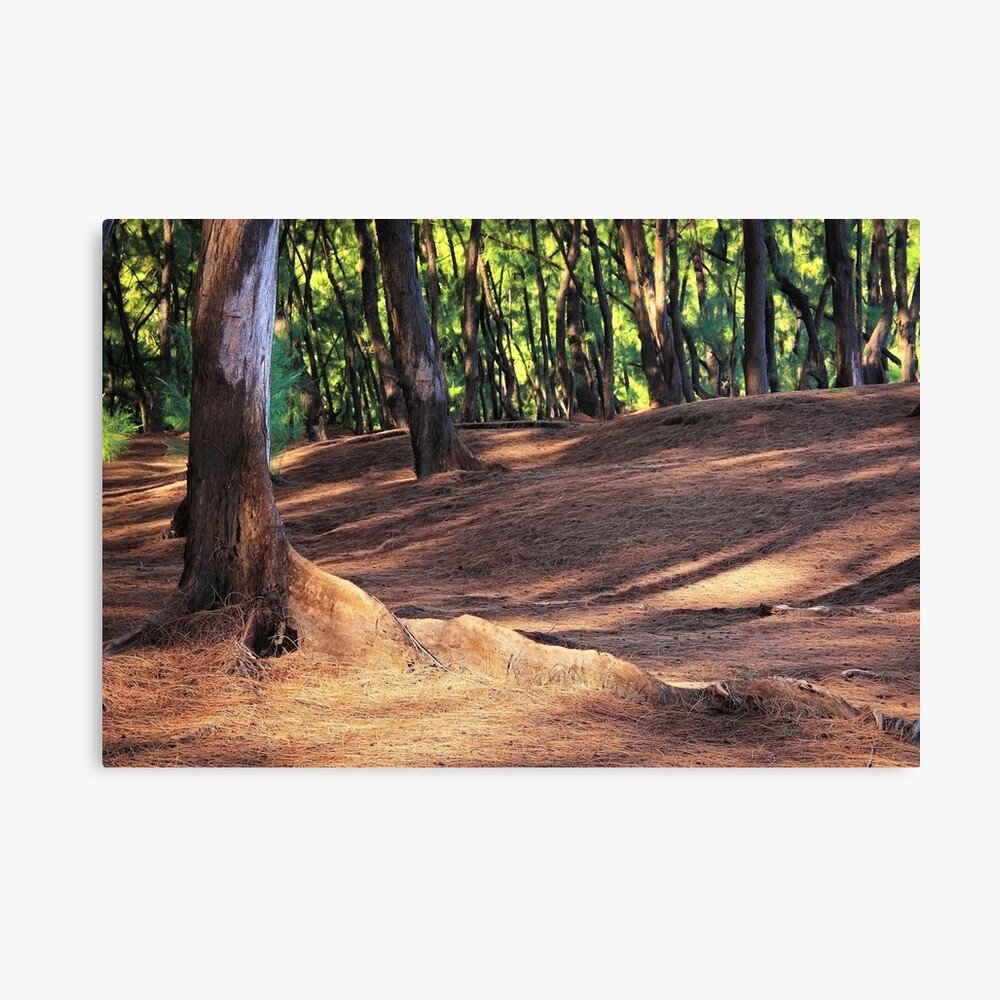 Kaloli Point 2 Canvas Print
