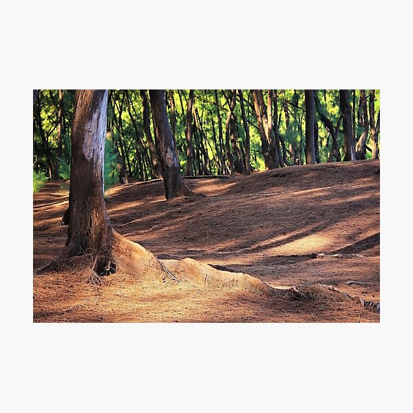 Kaloli Point 2 Photographic Print