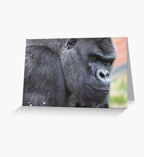 Western Lowland Gorilla Greeting Card