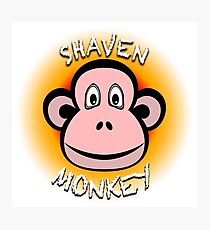 Shaven Monkey Photographic Print