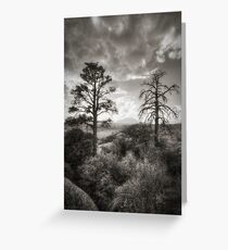 Life and Death Greeting Card