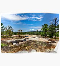 Arabia Mountain Poster
