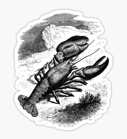Crawfish: Stickers | Redbubble