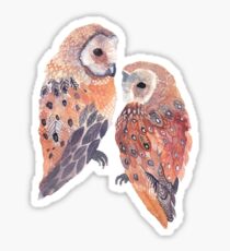 Eulen Sticker