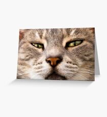 GRACIE... Greeting Card