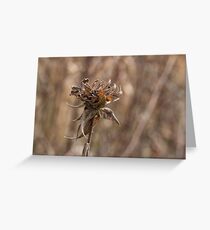 Crunchy Greeting Card