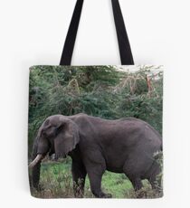 Rumbling Along Tote Bag