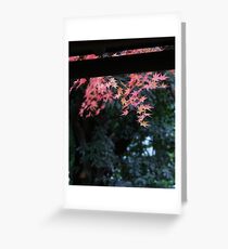 Autumn overhang Greeting Card