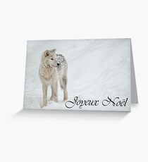 Arctic Wolf Christmas Card French 8 Greeting Card
