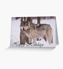 Timber Wolf Holiday Card 3 Greeting Card