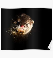 Otter. Poster