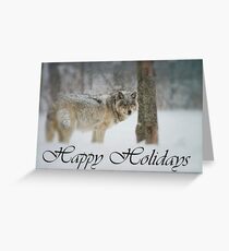 Timber Wolf Holiday Card 5 Greeting Card