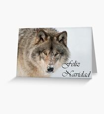 Timber Wolf Christmas Card Spanish 9 Greeting Card