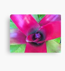 Lienzo Bromeliad