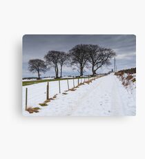 Snowy Track Canvas Print