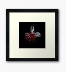 Macro Framed Print