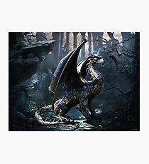 Dragons Of The Apocalypse Photographic Print