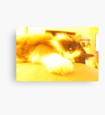 Pixel Canvas Print
