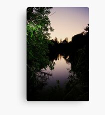 Drip Drop Canvas Print