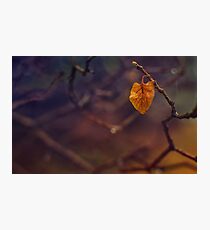 Last. Photographic Print