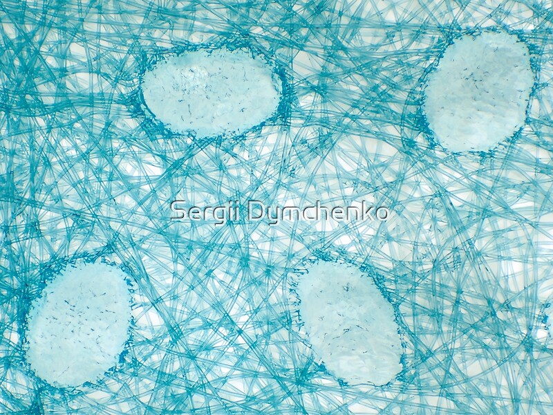 "Disposable protective face mask under the microscope" by Sergii