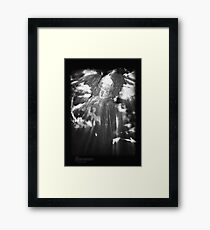 ©DA Angel IIAE Monochromatic Framed Print