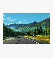 Cycling in Denali Photographic Print